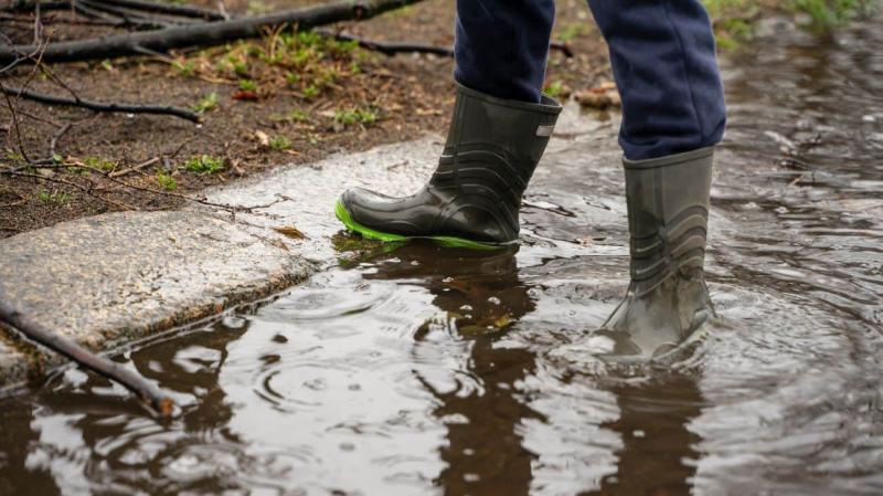 У неділю значна частина України опиниться під впливом дощів.