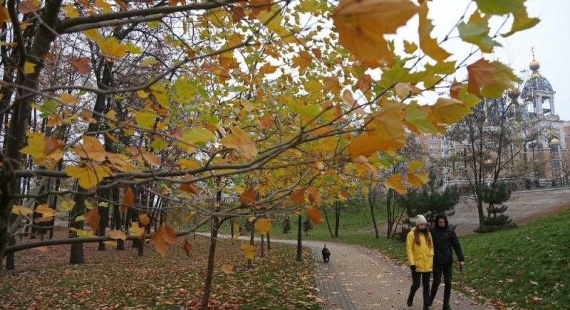 Завтра в Києві очікується ще нижча температура: синоптичний прогноз на 18 жовтня.