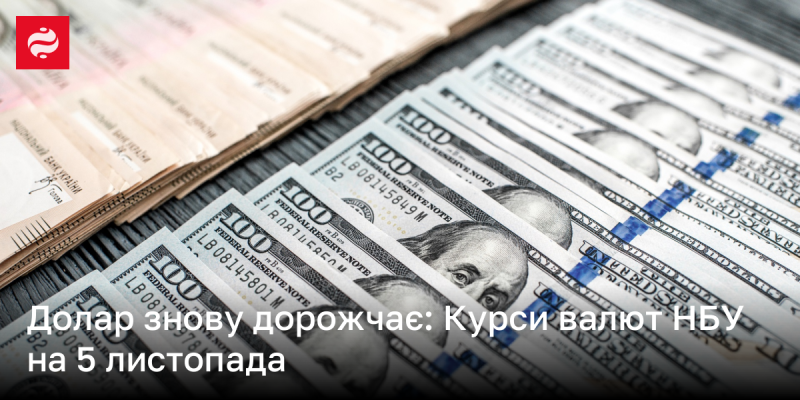 Долар знову зростає в ціні: Валютні курси НБУ на 5 листопада